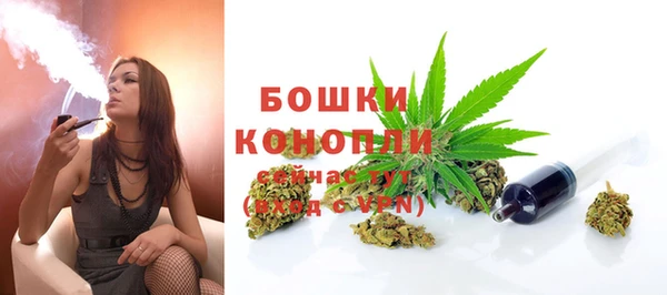 мяу мяу мука Михайлов
