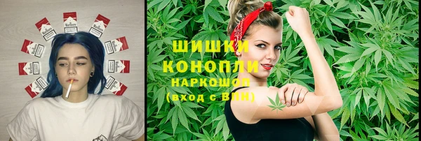 амф Мегион