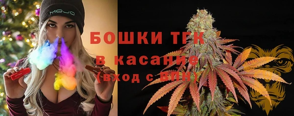амф Мегион