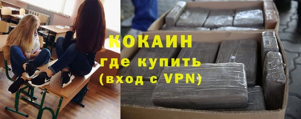 амф Мегион